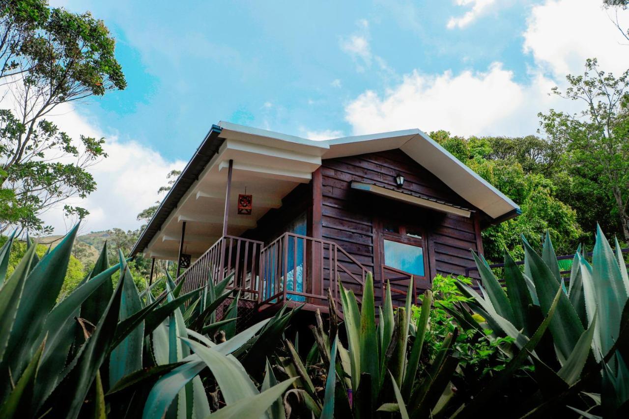 Wild Orchid Eco Tourism 蒙纳 外观 照片